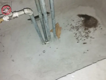 宁陕卫生间测漏水价格明细