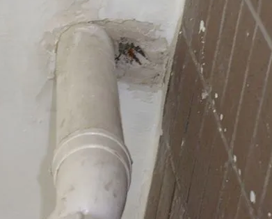 宁陕漏水检测哪家好